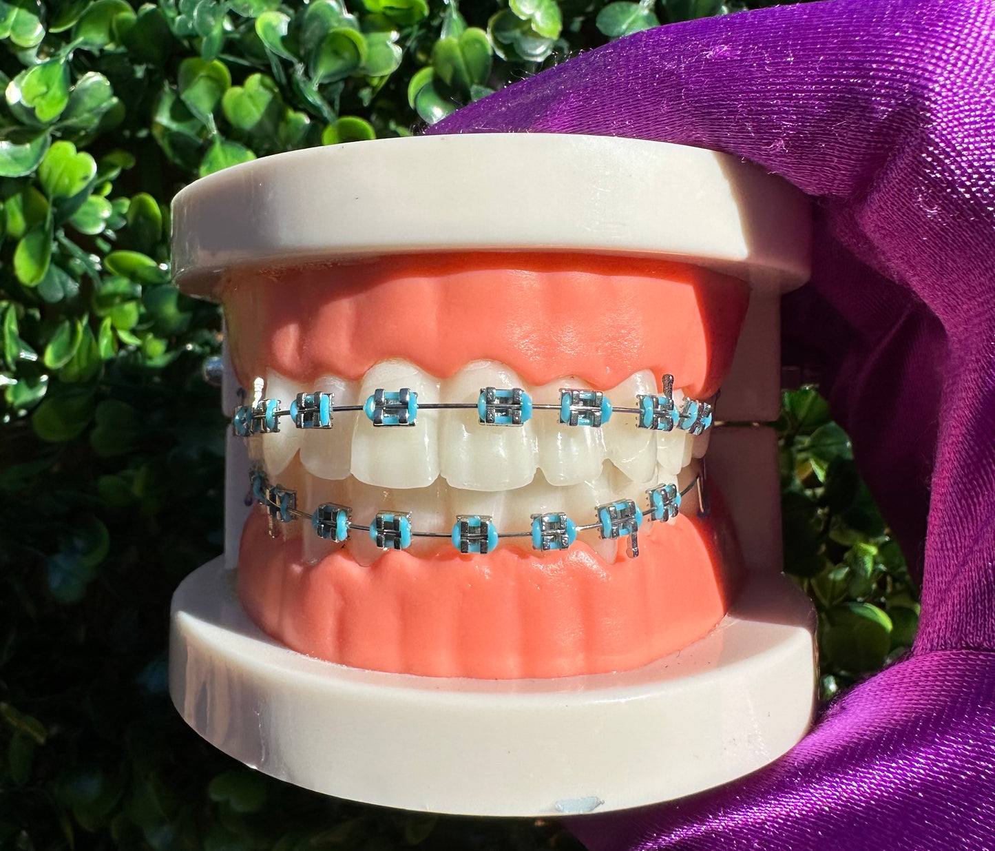 Clip-on fashion braces