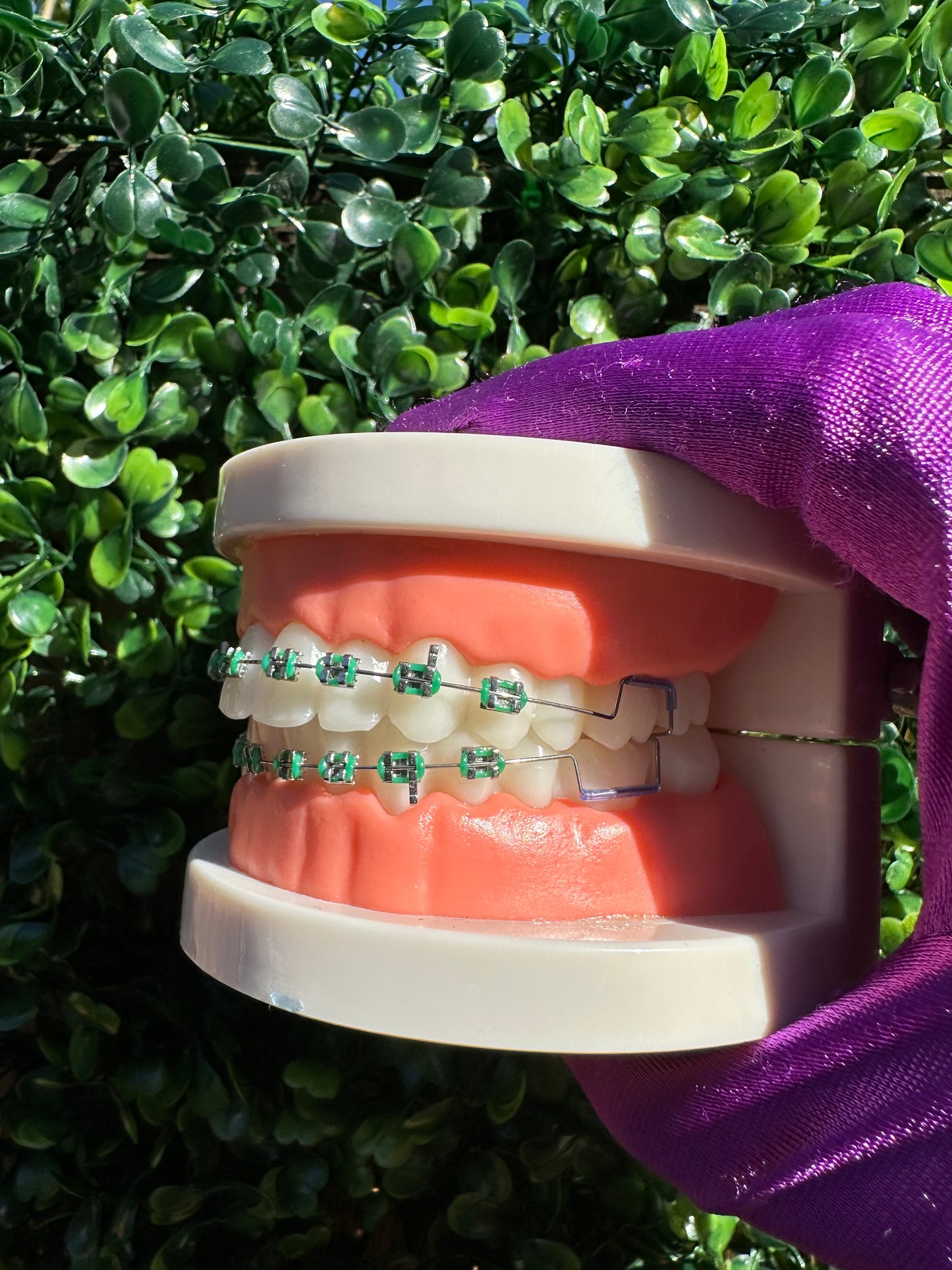 Fake Clip-on braces