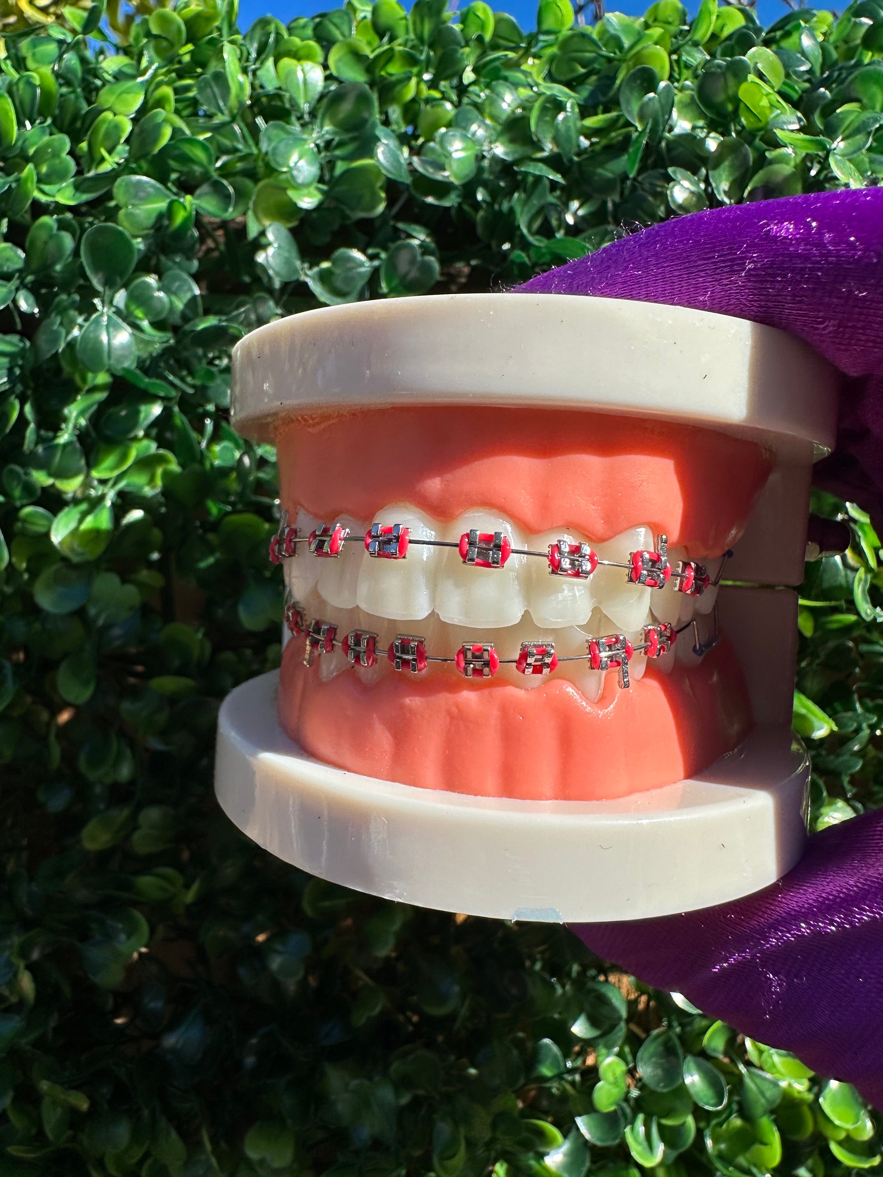 Clip-on fashion braces